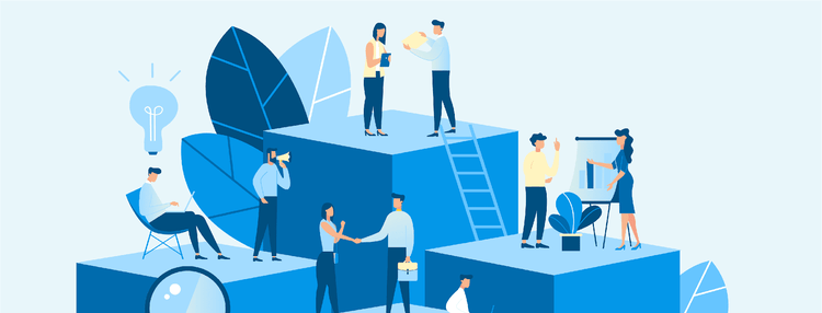 development plan in company