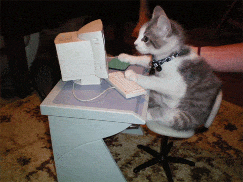 Hr horror stories pets at work