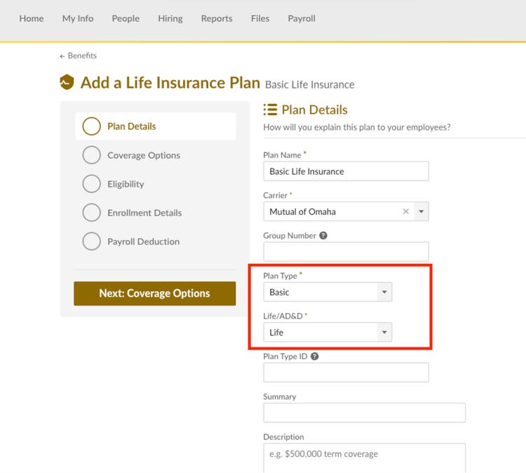 Define Coverage Amounts for Basic Life Insurance Plans
