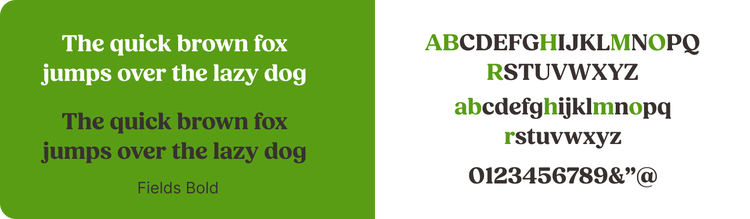Text demonstrating Fields Bold font, created by type designer Adam Ladd. It’s a thick, sturdy style that offers all the softness of curved lines within the professional silhouette of a classic serif font